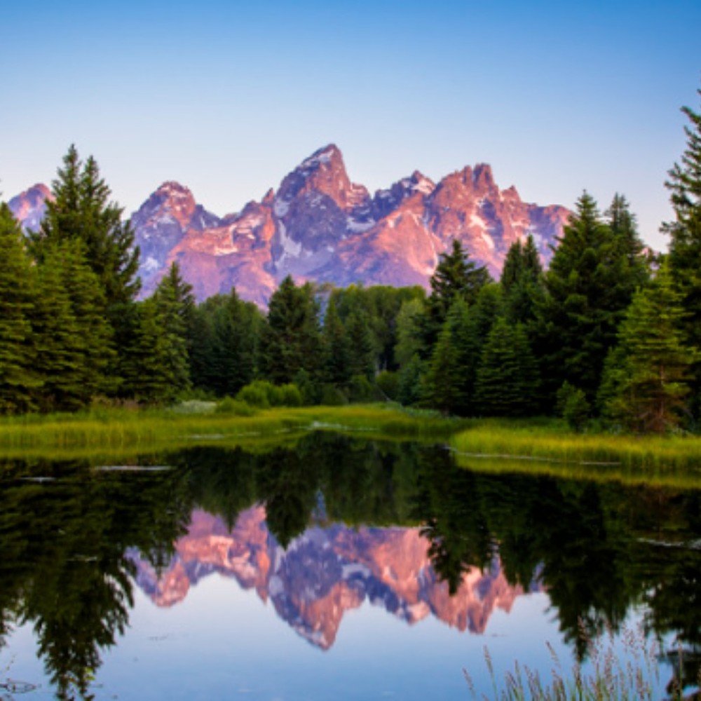 Meet your Posher, Paul j